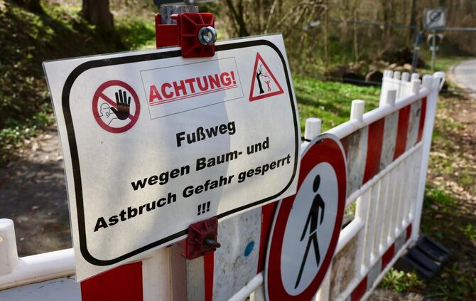 Auch die Fußwege von der Klinglestalstraße hoch zum Rothaldenweg bleiben wegen Baum- und Astbruchgefahr gesperrt.