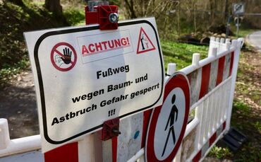 Auch die Fußwege von der Klinglestalstraße hoch zum Rothaldenweg bleiben wegen Baum- und Astbruchgefahr gesperrt.