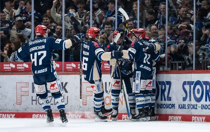 Schwenninger Wild Wings - Grizzlys Wolfsburg