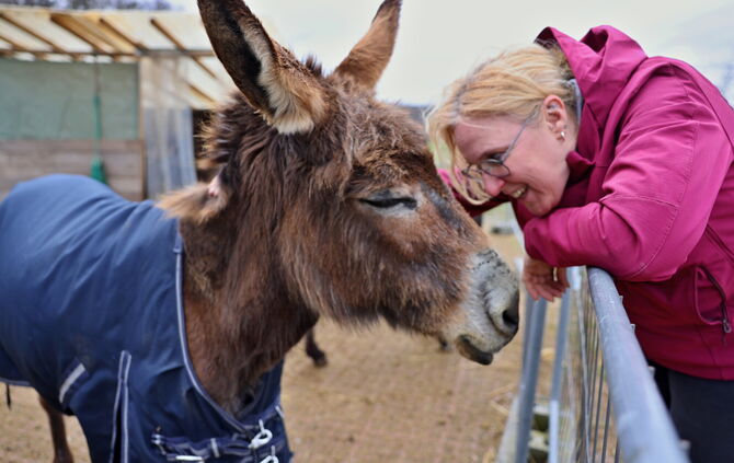 Die betagte Hauseselin Ronja schmust mit Sandra Wetzel, die auf dem Gnadenhof mithilft.