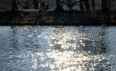 Wasser ist lebenswichtig für Menschen, Tiere und Kleinstorganismen. (Archivbild)