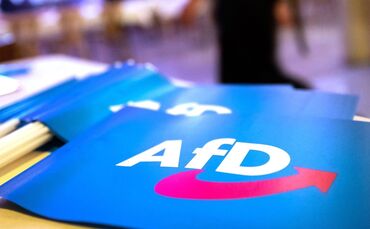 Fahne mit AfD-Logo