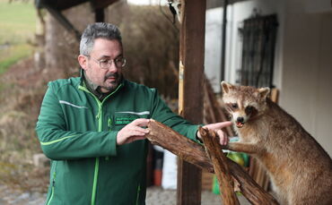 Stadtjäger Thomas Müller erklärt, wie man sein Haus sicher vor dem Waschbären macht.