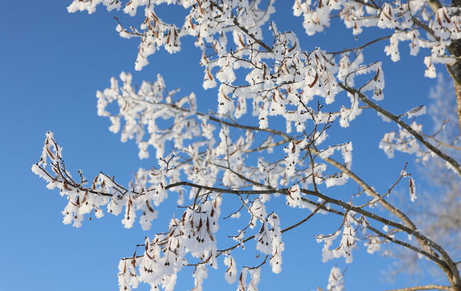 Es wird kalt im Rems-Murr-Kreis – der Frühling legt eine Pause ein (Symbolfoto).