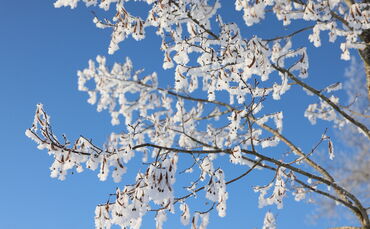 Es wird kalt im Rems-Murr-Kreis – der Frühling legt eine Pause ein (Symbolfoto).
