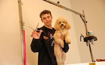 Ein Herz und eine Seele: "Groomer" Daniel und Zwergpudel Teo im neuen Hundesalon an der Winnender Ortsdurchfahrt.