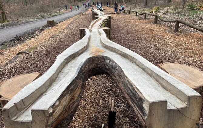 Die neue Kugelbahn am Hardy-Pfad eignet sich gut, um Kugel-Wettrennen zu veranstalten.