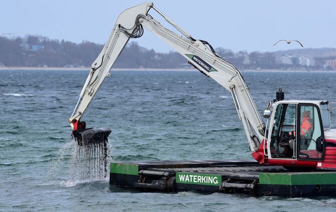 Wal an der Ostseeküste gestrandet