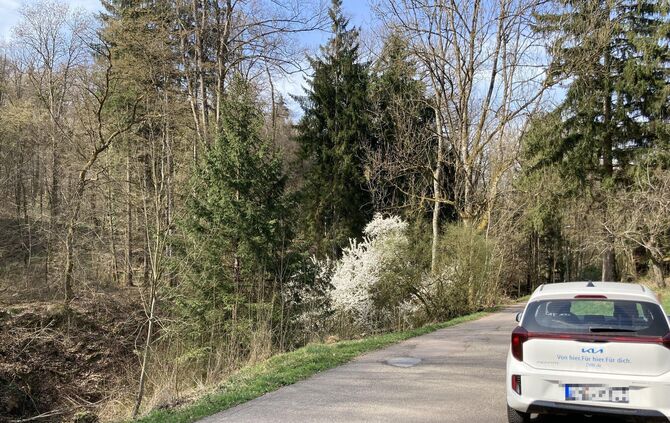 Auch auf die Christian-Friedrich-Werner-Straße, die Richtung Freizeitheim Aichenbach führt, sind in der Vergangenheit schon mors