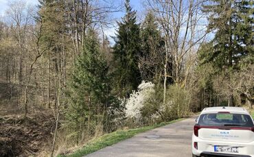 Auch auf die Christian-Friedrich-Werner-Straße, die Richtung Freizeitheim Aichenbach führt, sind in der Vergangenheit schon mors