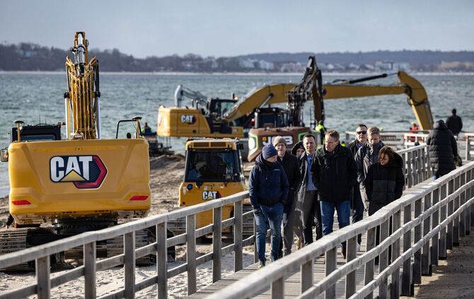 Wal an der Ostseeküste gestrandet