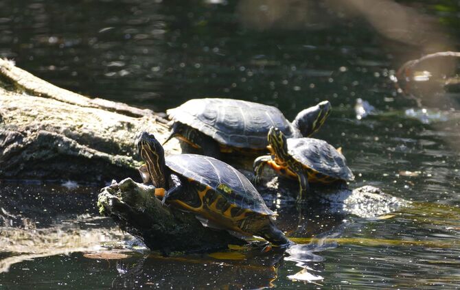 ec7dd7ec-cd79-4bcd-8cfa-cdaf966019be.jpg_0