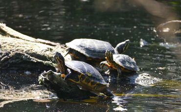 ec7dd7ec-cd79-4bcd-8cfa-cdaf966019be.jpg_0