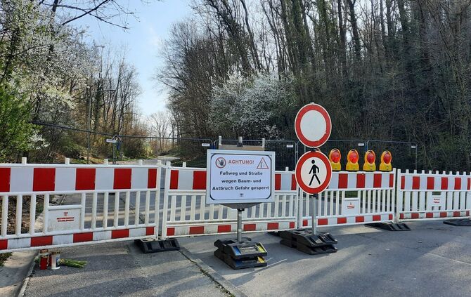 Die Klinglestalstraße in Waiblingen-Neustadt ist seit dem tödlichen Baumsturz vom 17. März noch voraussichtlich bis 11. April ge