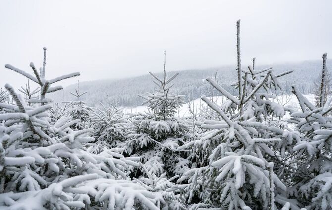 Wetter in Baden-Württemberg