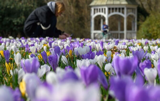 Frühlingserwachen - März-Bilanz DWD