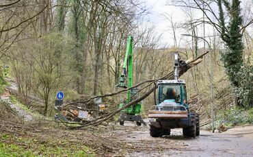 In der Karfreitag-Woche laufen Rodungen entlang der Klinglestalstraße.