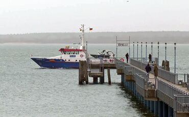 Die Einsatzkräfte suchen den Wal seit dem Morgen wieder von Wasser aus.