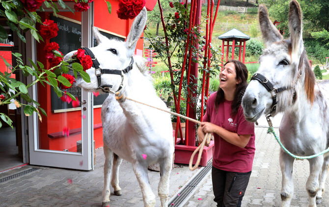 Es geht wieder los: Das Eins+Alles Laufenmühle Welzheim startet in die Sommersaison.
