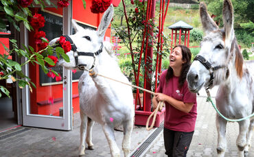 Es geht wieder los: Das Eins+Alles Laufenmühle Welzheim startet in die Sommersaison.