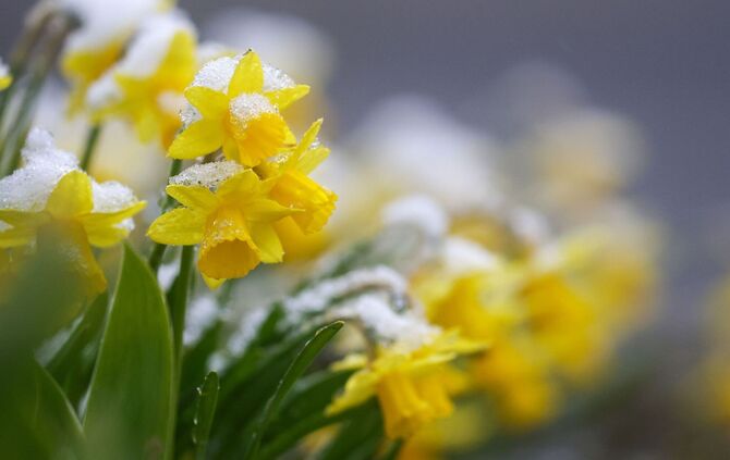 Wetter in Baden-Württemberg