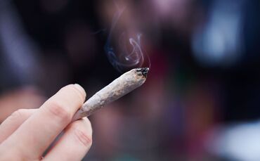 Cannabis-Legalisierung