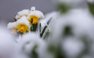 Am Mittwoch kann in höheren Lagen sogar etwas Schnee fallen. (Symbolbild)
