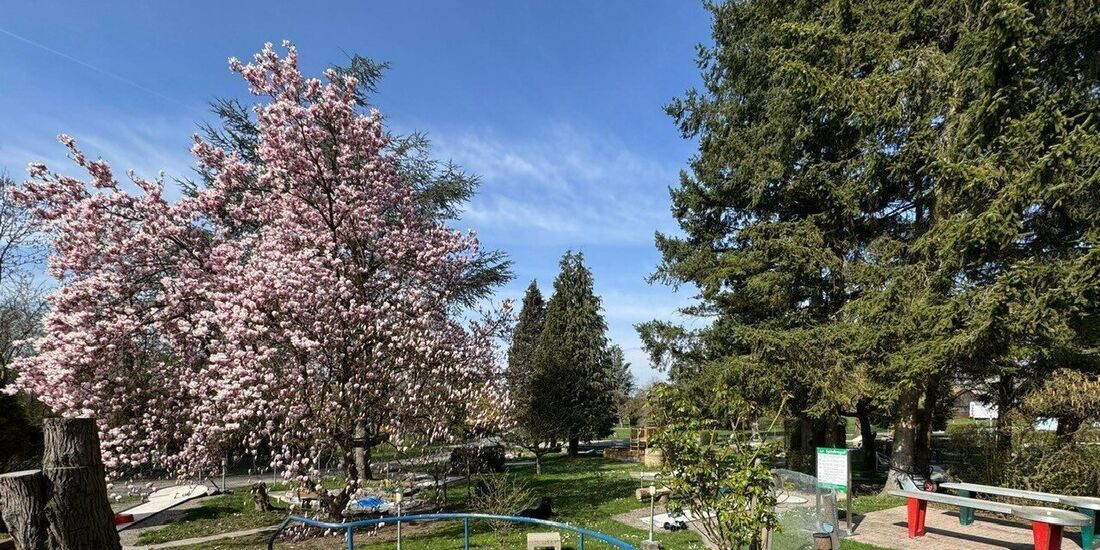 Die Saison wird am 3. April eröffnet: der Minigolfplatz mit Biergarten "Ins Nägele" liegt in einem Waldstück bei Schwaikheim (Ar