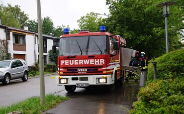 Korb: Dehnfugenbrand in Schule