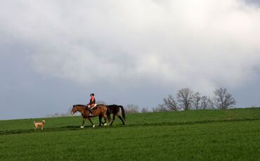 Wetter in Baden-Württemberg