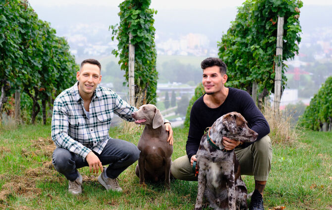 David Tenné (links) und Morice Ziegler sind am Montag bei Vox zu sehen.