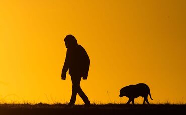 Hundespaziergang in Niedersachsen