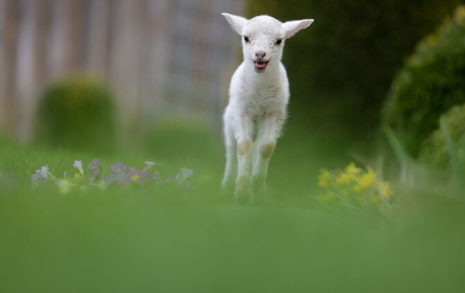 Am Ostersonntag dürfte nach Nebelauflösung zunächst häufig die Sonne scheinen. (Archivbild)