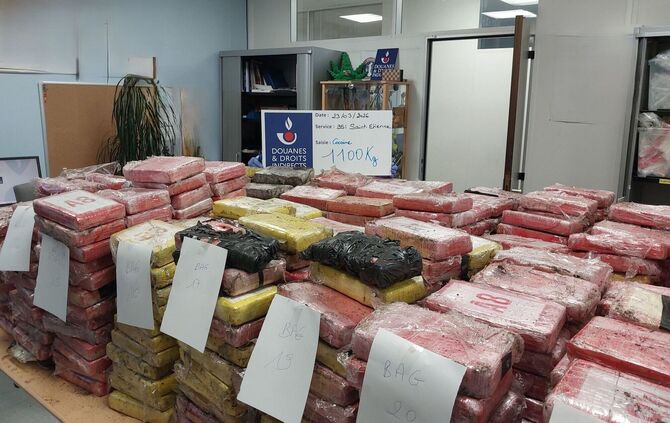 Zoll findet Kokain im Millionenwert in Blumenerde-Laster