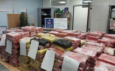 Zoll findet Kokain im Millionenwert in Blumenerde-Laster