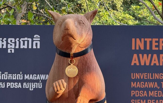 Statue für weltbekannte Minensuch-Ratte Magawa