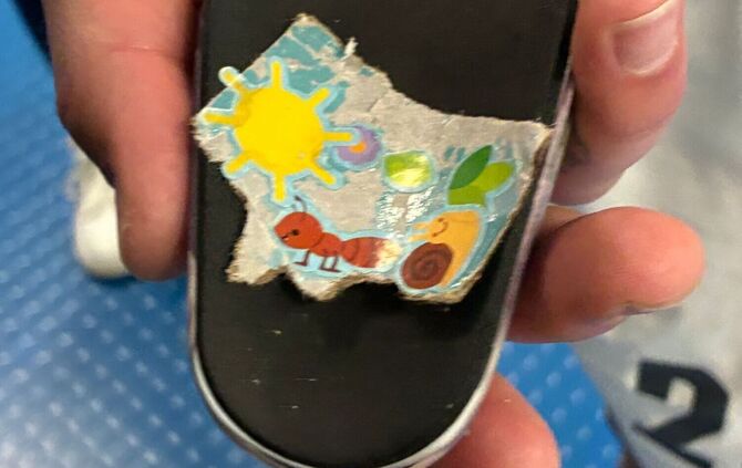 TSG 1899 Hoffenheim - FSV Mainz 05