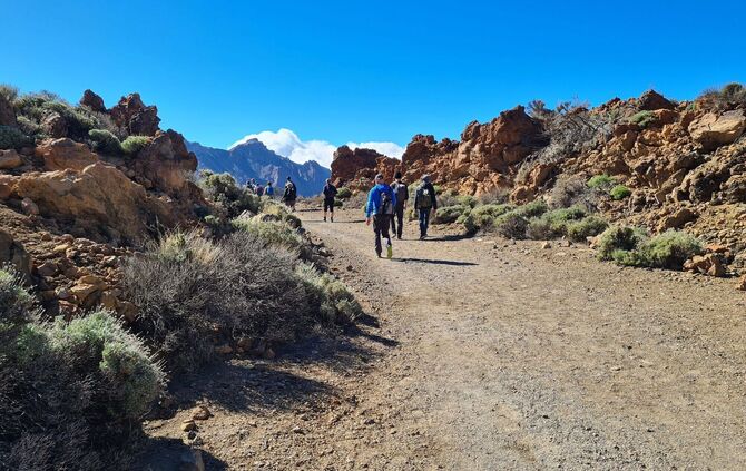 Vulkanlandschaft auf Teneriffa