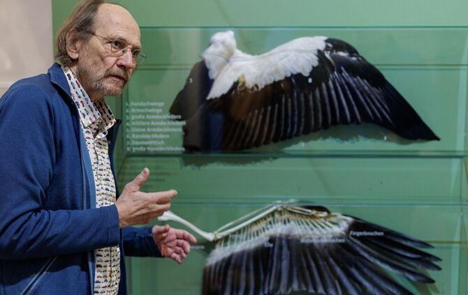 Westfälischen Storchenmuseum