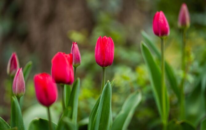 Frühlingswetter in Baden-Württemberg