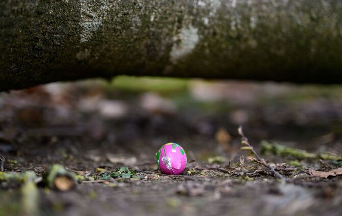 Baum umgestürzt - Drei Tote bei Flensburg