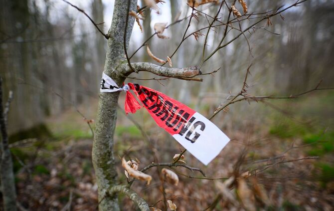 Baum umgestürzt - Drei Tote bei Flensburg