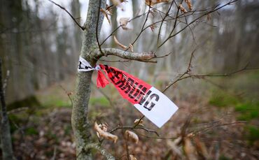 Baum umgestürzt - Drei Tote bei Flensburg