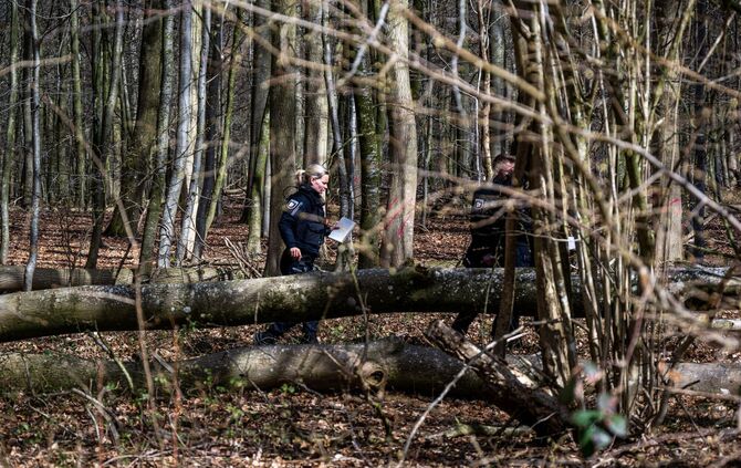 Baum umgestürzt – Drei Tote bei Flensburg