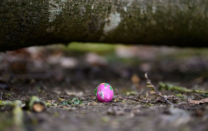 Baum umgestürzt - Drei Tote bei Flensburg