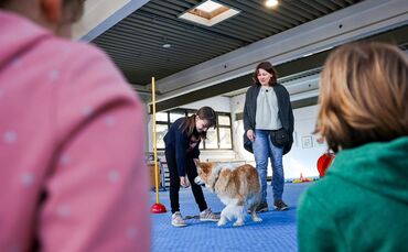 Ferienangebot der Hundeschule Schnüffelnase: Suki dreht sich im Kreis. Das Mädchen hat ein Leckerchen in der Hand und macht den 