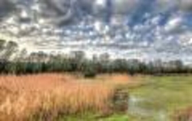 Ich treffe mich mit Jörg Daiss (grüne Jacke) und Erwin Lang (der Ältere) Wolfgang Bogusch (mit ohne Haare) vom NABU. Zusammen ge