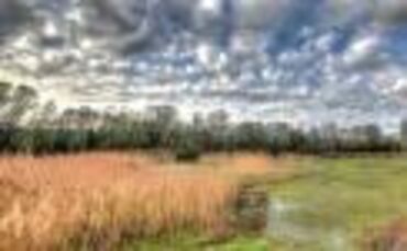 Ich treffe mich mit Jörg Daiss (grüne Jacke) und Erwin Lang (der Ältere) Wolfgang Bogusch (mit ohne Haare) vom NABU. Zusammen ge