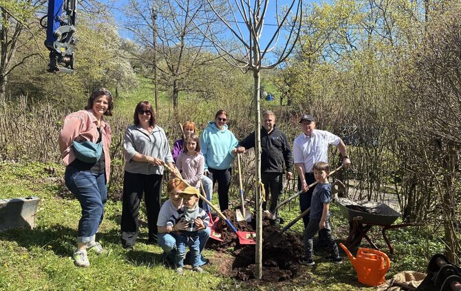 Vertreterinnen und Vertreter der Spielplatz-Initiative haben eine Pappel auf dem Spielplatz Klause gepflanzt. Sie soll künftig d