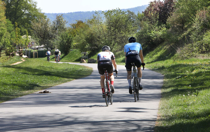 Radeln im Rems-Murr-Kreis kann auf der richtigen Strecke ein wahres Vergnügen sein. Vor allem jetzt im Frühling.